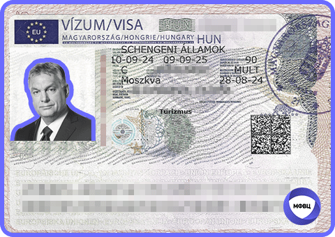 Мультивиза в Венгрию на 1 год.